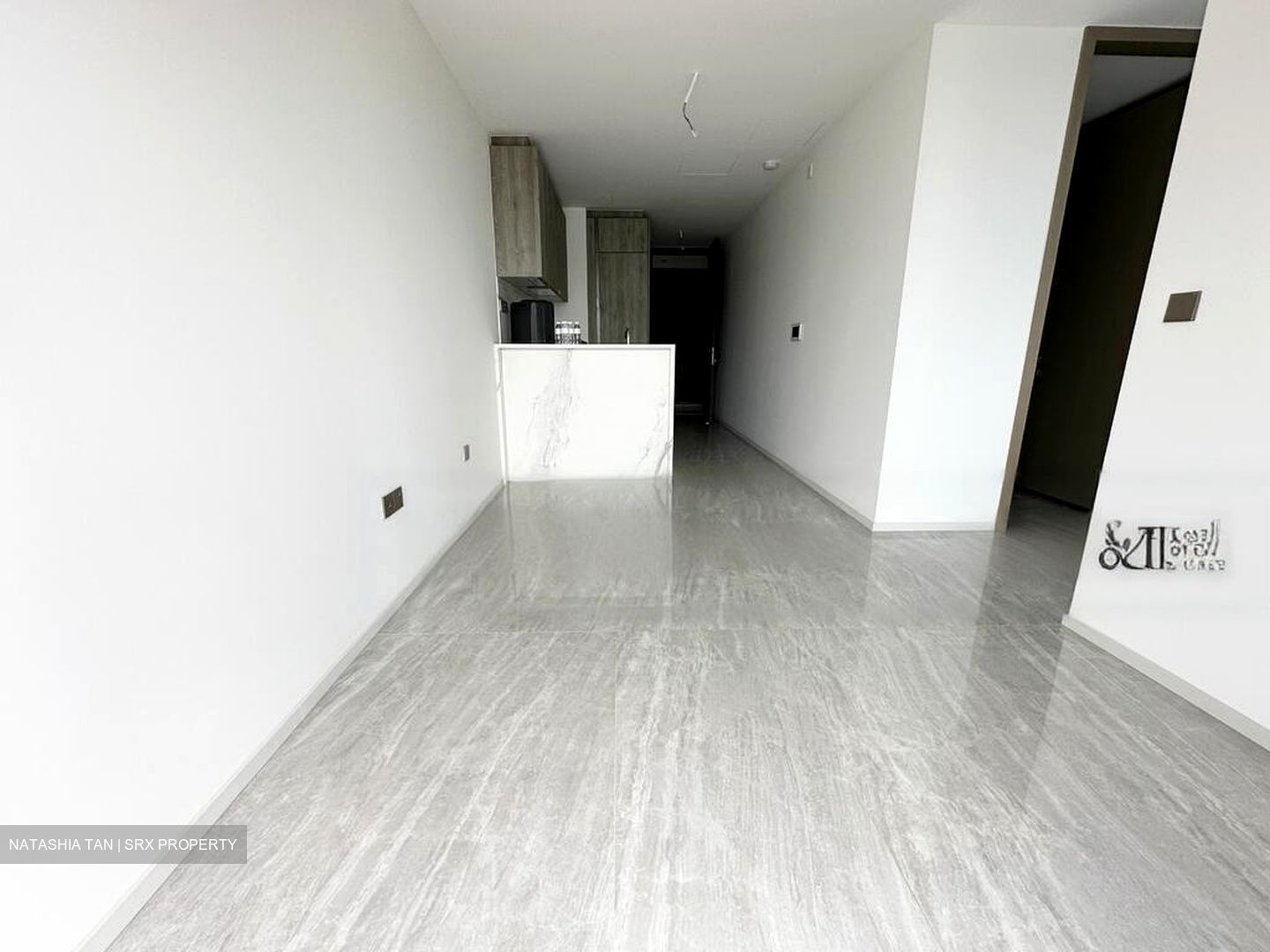 Leedon Green (D10), Condominium #478895801